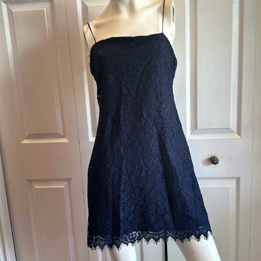 Francesca’s Dress